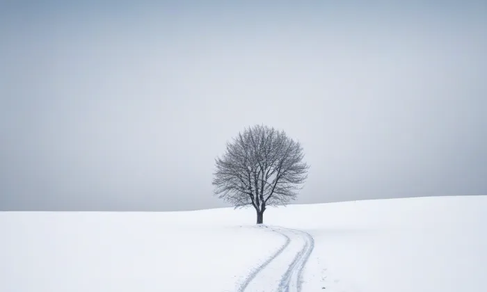 Jízdárna Světce – winter
