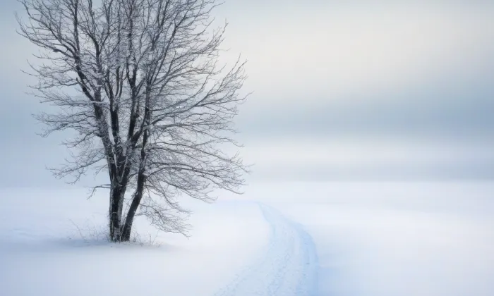 Ječná – winter