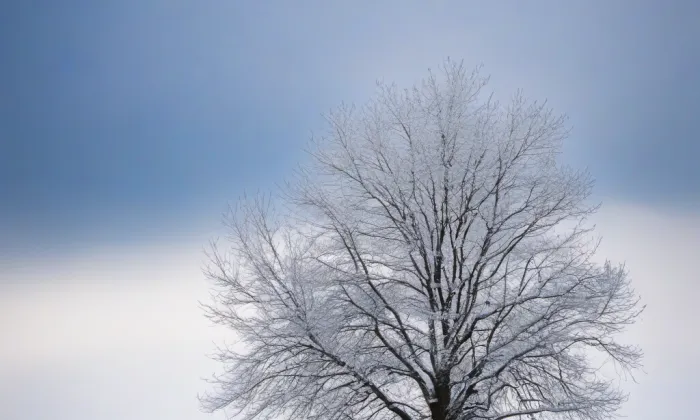 Jelení příkop – winter