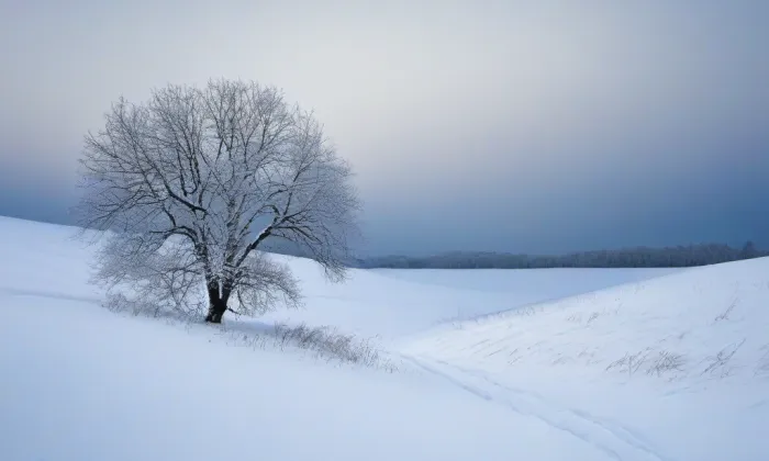 Jezeřské arboretum – winter