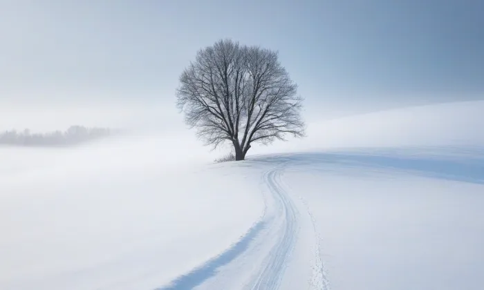 Jezuitský kostel Neposkvrněného Početí Panny Marie a svatého Ignáce – winter