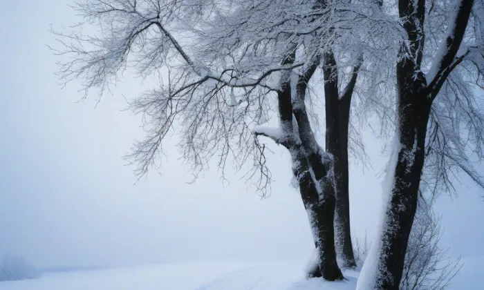Jiráskovy sady (Nusle) – winter
