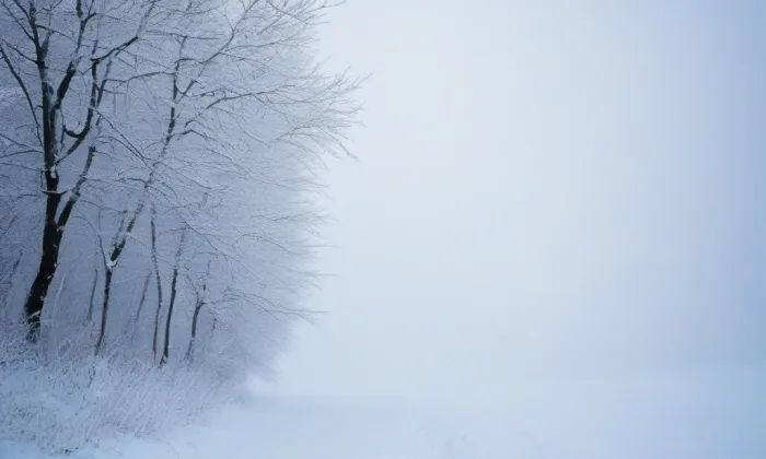 Johanitská komenda v Praze – winter