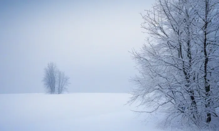 K náhonu – winter