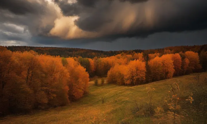 Kadaňská radnice – autumn