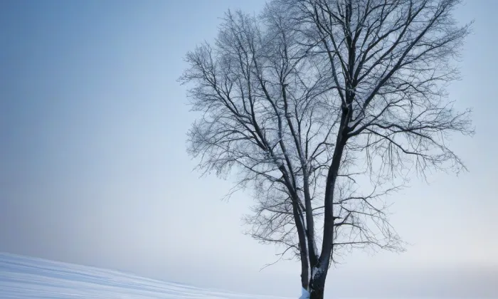 Kamenického stezka – winter