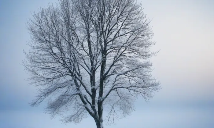 kamenný most přes Stržský potok ve Světnově – winter