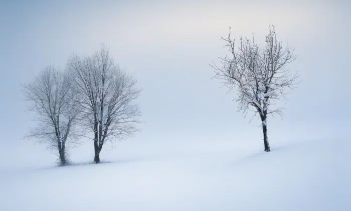 Kanovnická – winter