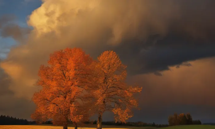 kaple (Březno) – autumn