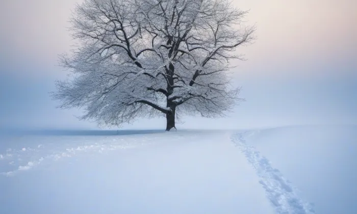 kaple (Město Touškov) – winter