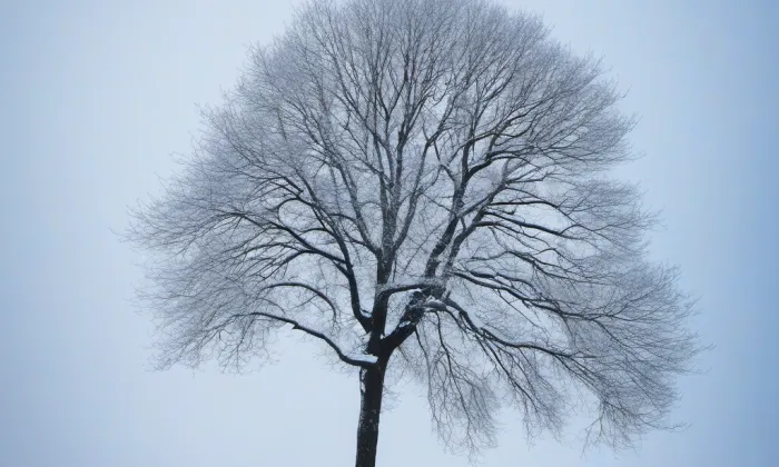 kaple Andělů strážných (Zlatá Koruna) – winter