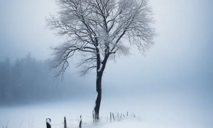 Kaple Božího těla se zvonem – winter