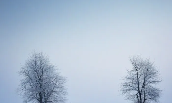 kaple Božského Srdce Páně (Olomouc) – winter