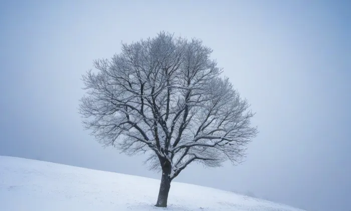 kaple Bolestivé matky Boží – winter