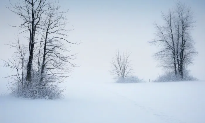kaple milosrdného Samaritána – winter