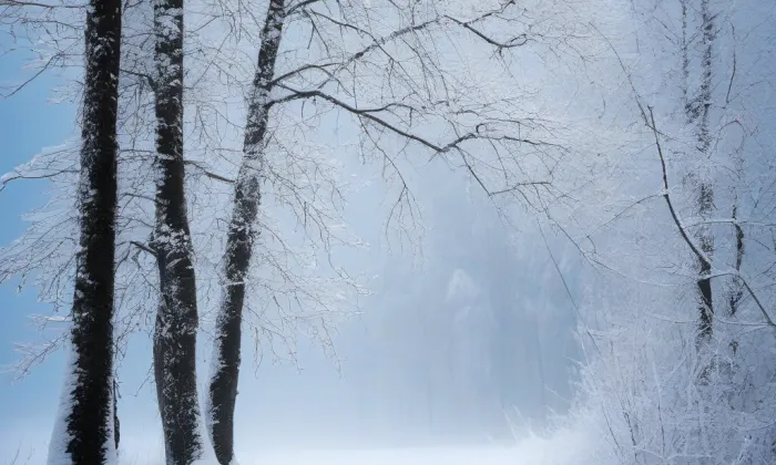 kaple na Mravenčím vrchu – winter