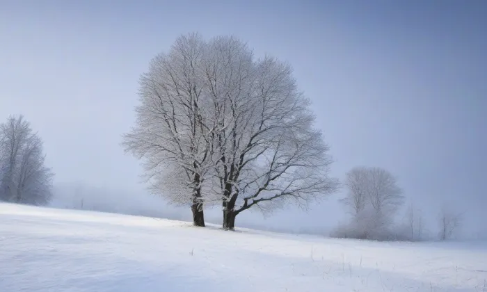 kaple Nanebevzetí Panny Marie (Božanov) – winter