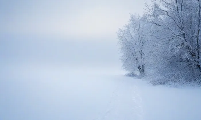 kaple Nanebevzetí Panny Marie (Kupařovice) – winter