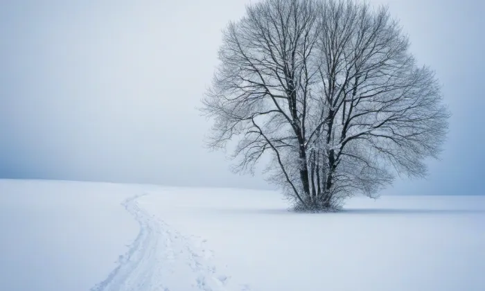 kaple Narození svatého Jana Křtitele (Výrava) – winter