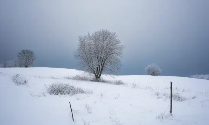 kaple Navštívení Panny Marie (Žďár) – winter