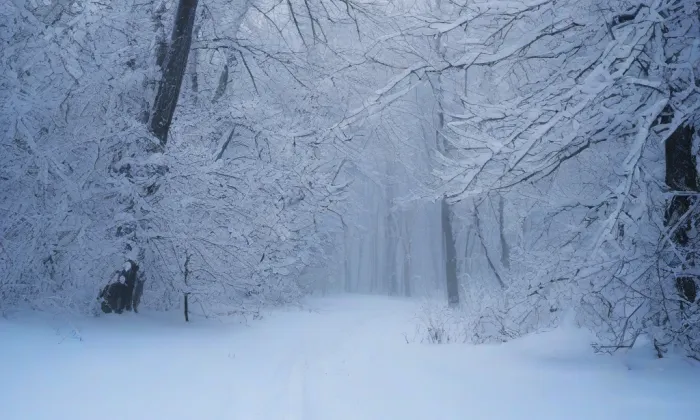 Kaple Navštívení Panny Marie (Žiželice) – winter