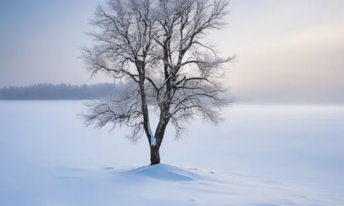 kaple Navštívení Panny Marie (Povrly) – winter