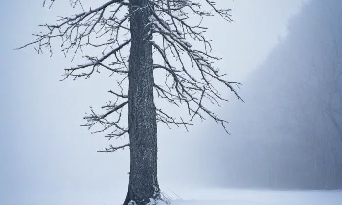 Kaple Navštívení Panny Marie se studánkou – winter