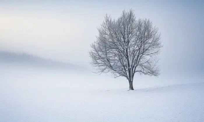 kaple Nejsvětější Trojice (Český Dub) – winter