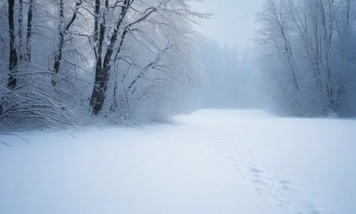 kaple Nejsvětější Trojice (Chlumec) – winter
