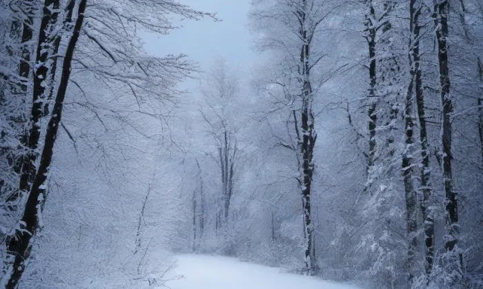 kaple Nejsvětější Trojice (Klášterská Lhota) – winter