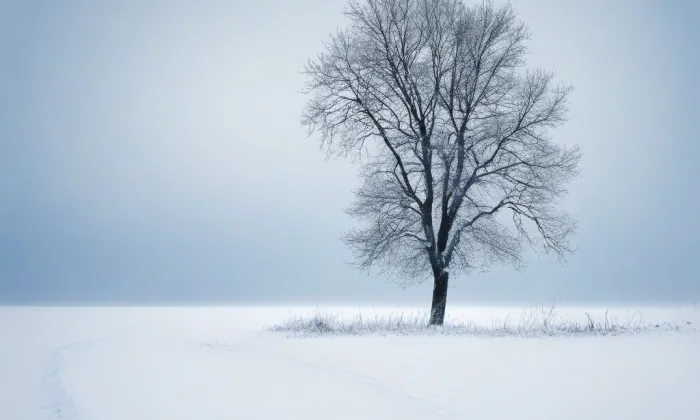 kaple Nejsvětější Trojice (Střekov) – winter