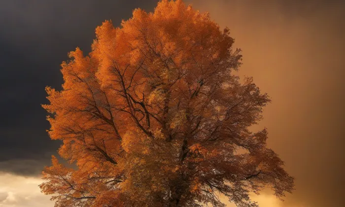 Kaple Neposkvrněného početí Panny Marie v Teplicích – autumn
