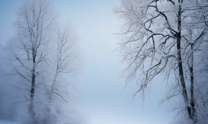 kaple Neposkvrněného početí Panny Marie (Slezské Předměstí) – winter