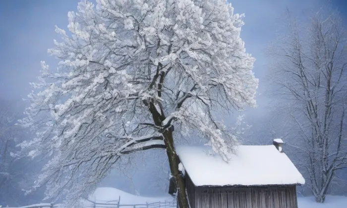 kaple Neposkvrněného početí Panny Marie (Bystřany) – winter