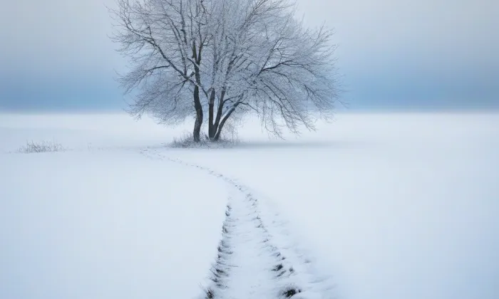 kaple Obětování Panny Marie – winter