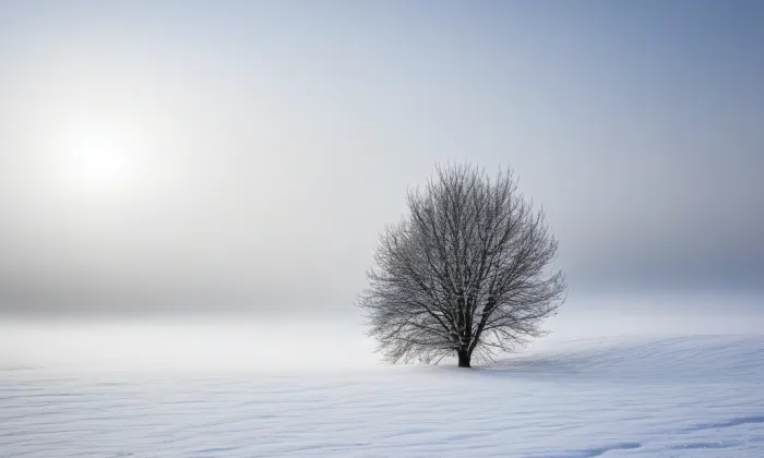 kaple Panny Marie (České Žleby) – winter