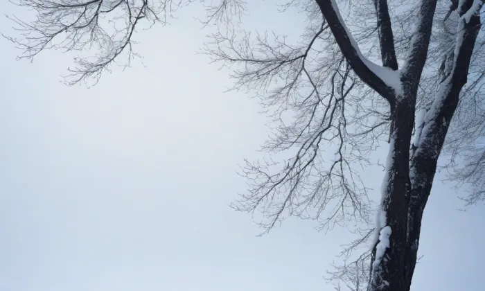 Kaple Panny Marie (Andělská Hora) – winter