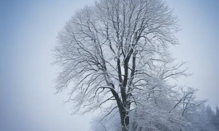 kaple Panny Marie (Dobrovíz) – winter