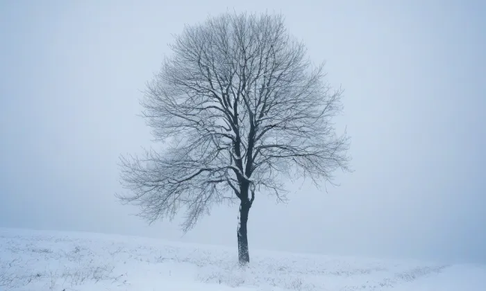 kaple Panny Marie (Vahaneč) – winter