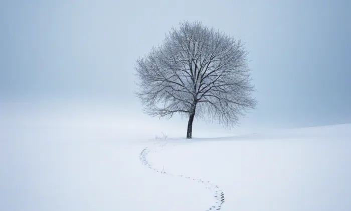 kaple Panny Marie Bolestné (Mariánské Lázně) – winter