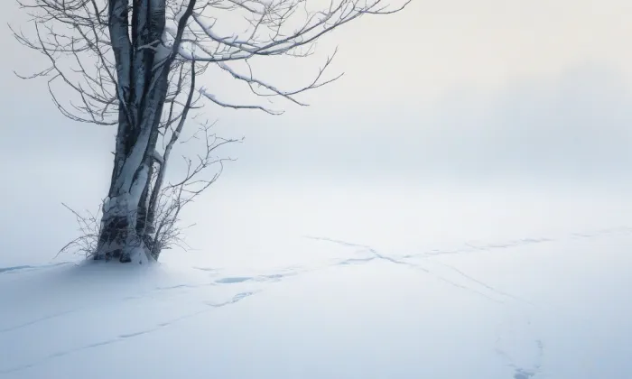 Kaple Panny Marie Bolestné (Nová Paka) – winter