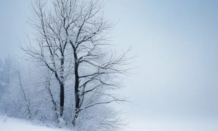 kaple Panny Marie Bolestné (Vatín) – winter