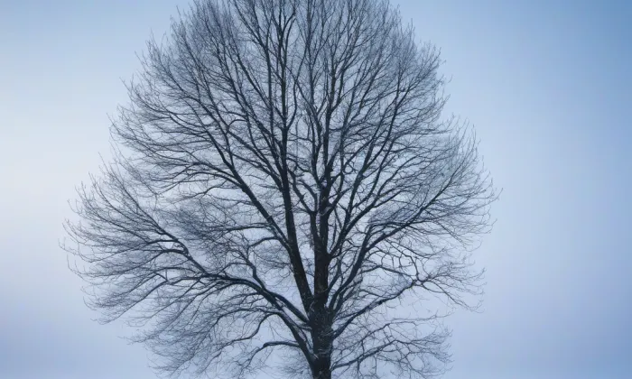 kaple Panny Marie Bolestné (Zlíchov) – winter