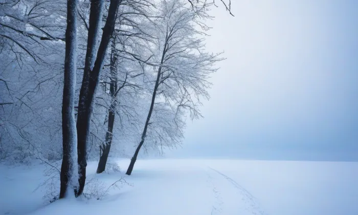 kaple Panny Marie Líšeňské – winter
