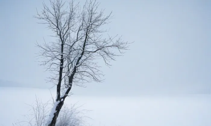 kaple Panny Marie Pomocné (Vintířov) – winter