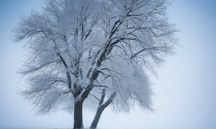 kaple Panny Marie Prostřednice všech milostí ve Vědlicích – winter