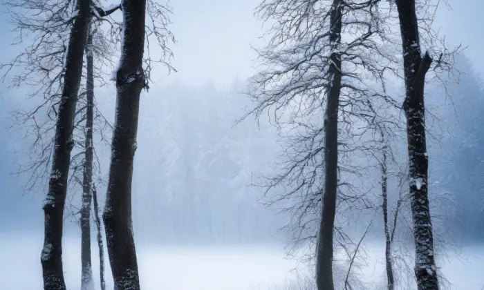 Kaple Panny Marie Růžencové (Borač) – winter