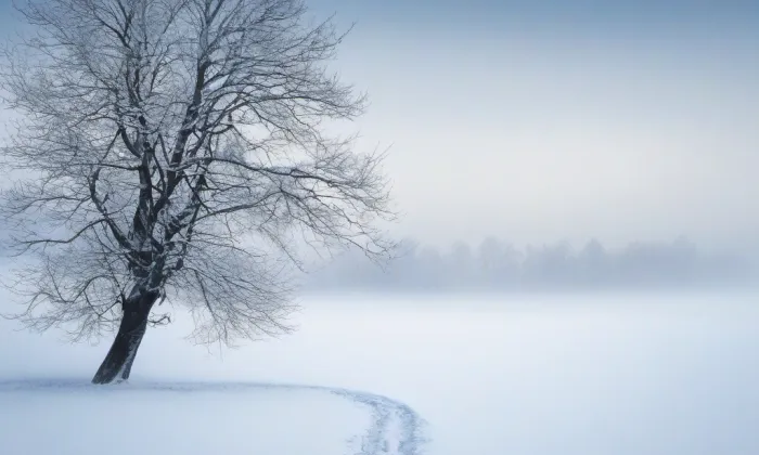 kaple Panny Marie Sedmibolestné (Libotov) – winter