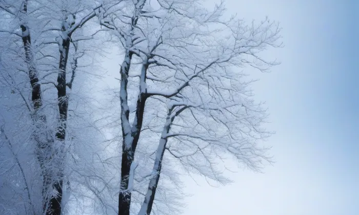 Kaple Povýšení svatého Kříže (Horka-Domky) – winter