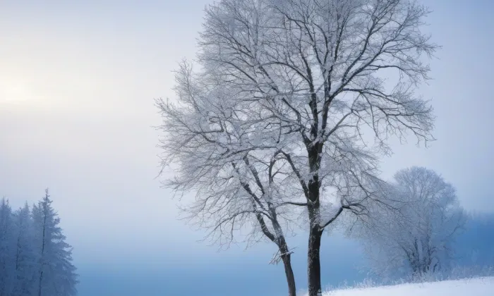 kaple Povýšení svatého Kříže (Přeštice) – winter